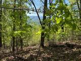 Lot 11J Ash Branch View - Photo 8