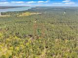 Lot 65 Maiden Cane Way - Photo 27