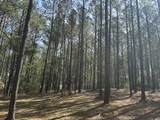 Lot 65 Maiden Cane Way - Photo 5