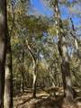 Lot 27&28 Lakeshore Estates Drive - Photo 15