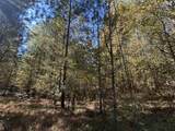 Lot 27&28 Lakeshore Estates Drive - Photo 5