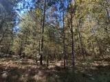 Lot 27&28 Lakeshore Estates Drive - Photo 6