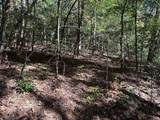 Lot 6 Beaverdam Loop - Photo 2