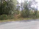 Lot  44964 Big Island Road - Photo 4