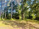116 Magnolia Bay Lane - Photo 14