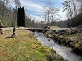 LT29 Wilderness Creek Way - Photo 18