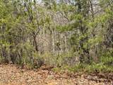 LT29 Wilderness Creek Way - Photo 5