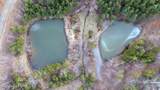Lot 9 Wilderness Creek Way - Photo 21