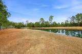 145 Spicer Lake Drive - Photo 49