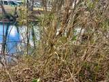 0 Butterball Boulevard - Photo 1