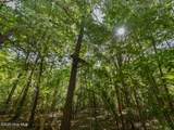 224 Foxfire Road - Photo 3
