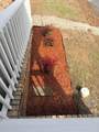 1610 Carpenter Street - Photo 14