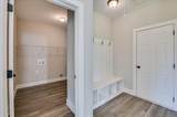 151 Tupelo Lane - Photo 34