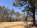 880 Doubs Chapel Road - Photo 4