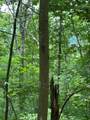 0 Ten Pointe Trail - Photo 1