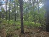110 Old Course Lane - Photo 14