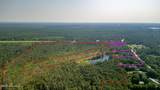 34.38 Ac Stag Drive - Photo 19