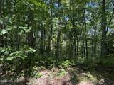 Lot 3 Amber Lane - Photo 1
