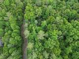 00 Dogwood Trail - Photo 4