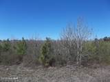 Tbd Boat Ramp Road - Photo 2
