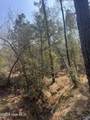 Tbd Healing Acres Lane - Photo 10