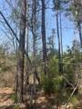 Tbd Healing Acres Lane - Photo 11