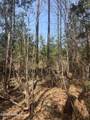 Tbd Healing Acres Lane - Photo 12