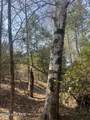 Tbd Healing Acres Lane - Photo 13