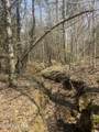 Tbd Healing Acres Lane - Photo 14