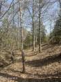 Tbd Healing Acres Lane - Photo 15