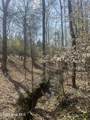 Tbd Healing Acres Lane - Photo 16