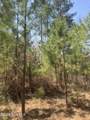 Tbd Healing Acres Lane - Photo 17