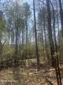 Tbd Healing Acres Lane - Photo 3