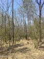 Tbd Healing Acres Lane - Photo 7