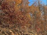 Lot 58M Ridges - Photo 3