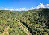 9765 Little Snowbird Road - Photo 13