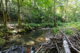 9765 Little Snowbird Road - Photo 14
