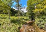 9765 Little Snowbird Road - Photo 2