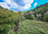 9765 Little Snowbird Road - Photo 9