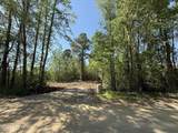 Lot 20 Mallard Roost Drive - Photo 8