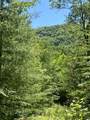 00 Deer Run - Photo 8