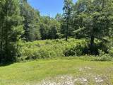 Lot 10 Tree Hill Lane - Photo 3