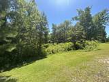 Lot 10 Tree Hill Lane - Photo 4