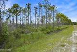 10 Acres Address Tbd - Photo 14