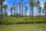 10 Acres Address Tbd - Photo 15