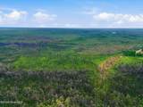 10 Acres Address Tbd - Photo 5