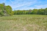 4375 Chamberlain S Ferry Road - Photo 31