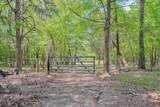 4375 Chamberlain S Ferry Road - Photo 34