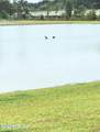 1019 Sawfish Drive - Photo 10