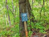 Lot 21 Skyview - Photo 1